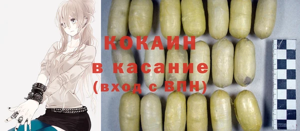 шишки Арсеньев