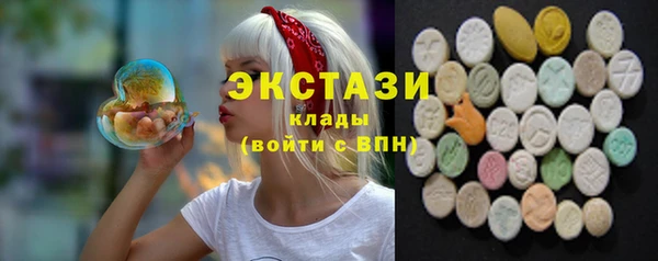шишки Арсеньев