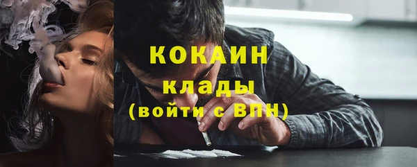 PSILOCYBIN Аркадак