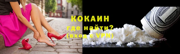 дмт Новозыбков