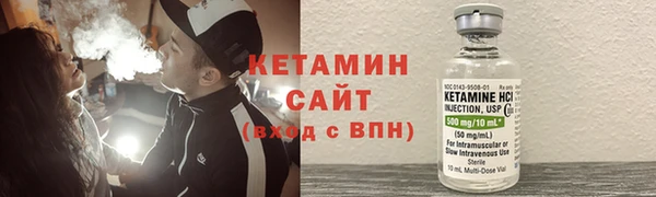 шишки Арсеньев