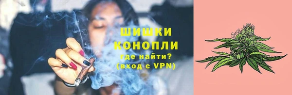PSILOCYBIN Аркадак