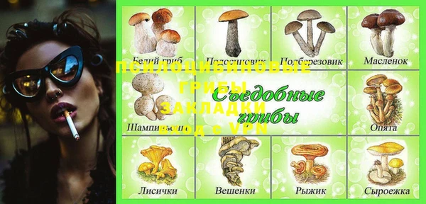шишки Арсеньев