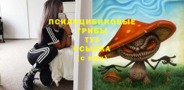 шишки Арсеньев