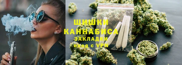 шишки Арсеньев