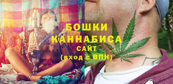 шишки Арсеньев