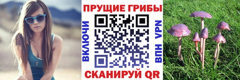 мориарти состав  Строитель  Псилоцибиновые грибы GOLDEN TEACHER  наркота 